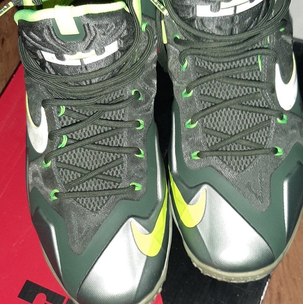 Nike Lebron's 11 Dunkman size 12 men